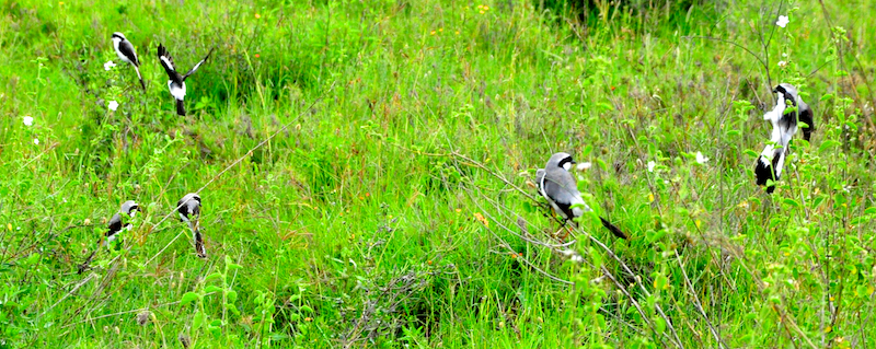 Melanie Heinrich Travel Images Africa